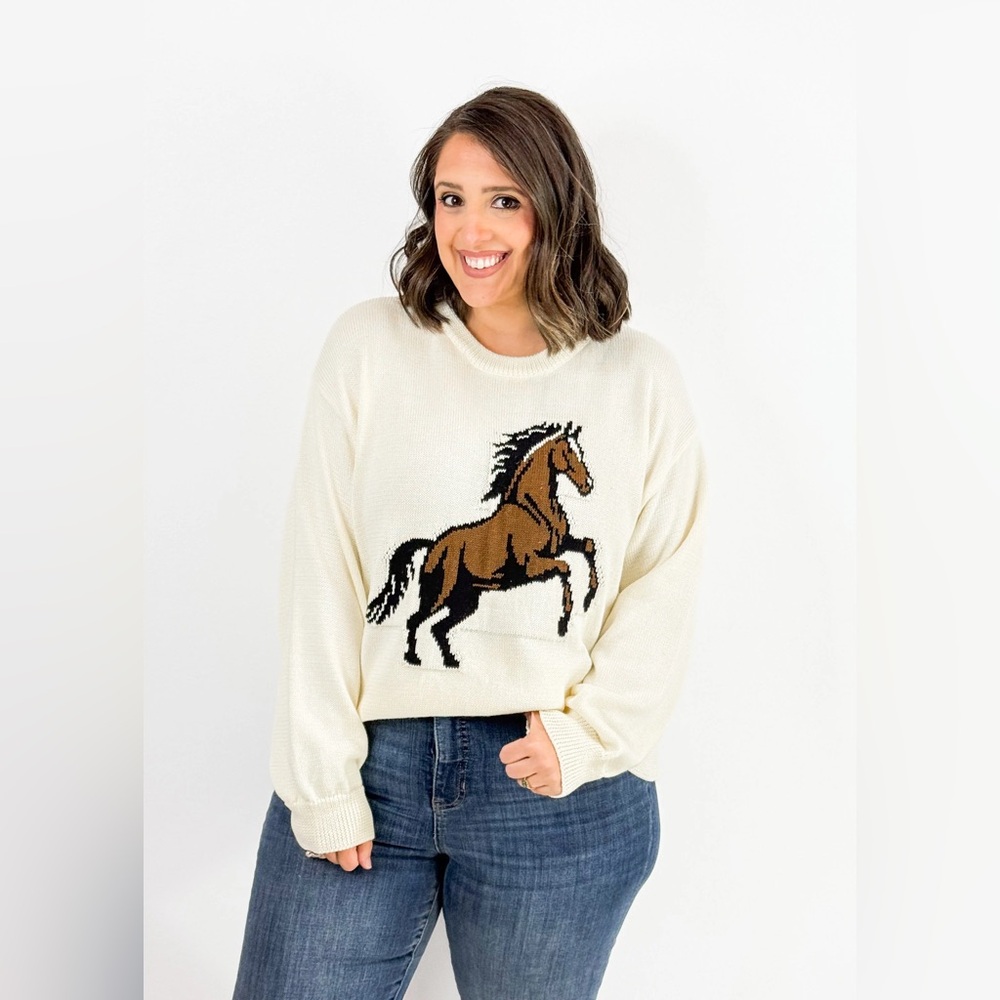 Nwt ivory knit horse graphic long sleeve - Picture 5 of 13